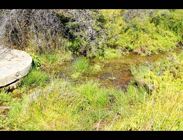 FARM FOR SALE IN CALITZDORP